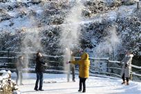 《雪花飞》