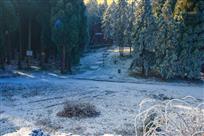 雪后阳光