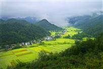 《薄云拂面山乡岫 》