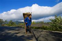 《山里人 》