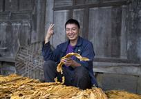 《今年增两成 》