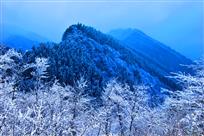 《雪玉凇韵》