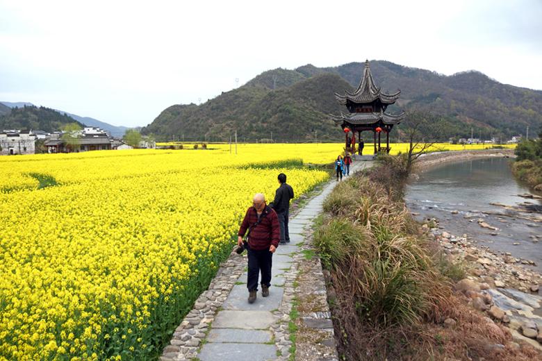 拍摄地点: 七都镇高路亭村  拍摄时间: 2017-03-28  作品       龙