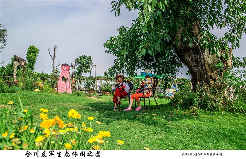 拍摄地点: 重庆合川友军农业生态园  拍摄时间: 2017-06-06  作品