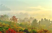 塔川斑斓的秋天色彩