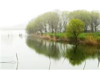 烟雨三月开沙岛