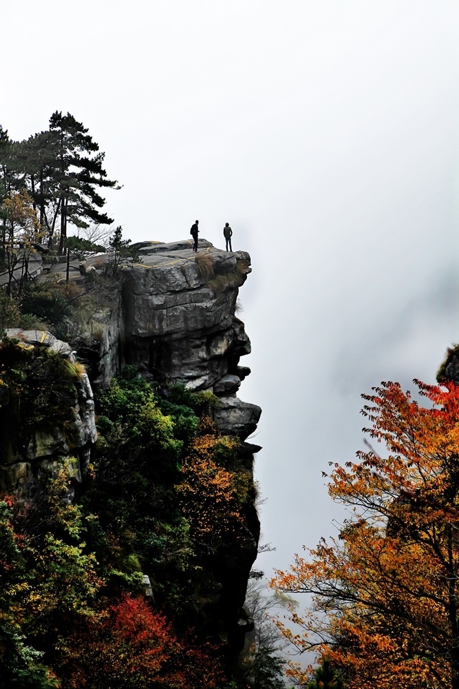 上一页 下一页 作品名称: "险峰"秋色  作品描述:   拍摄地点: 庐山