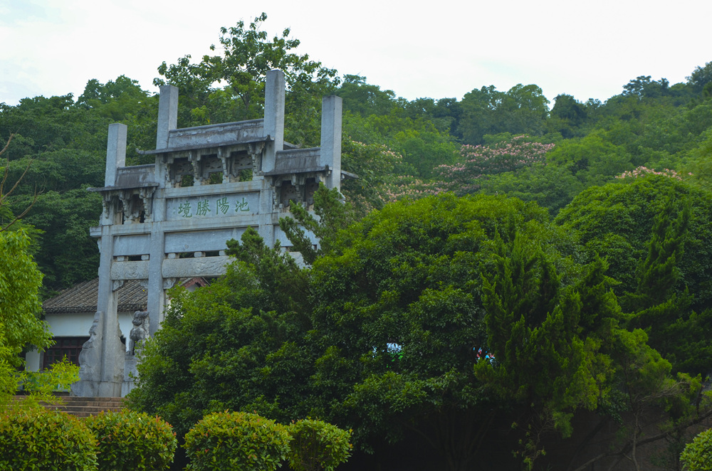 下一页 作品名称: 绿在池阳  作品描述:   拍摄地点: 池州齐山公园