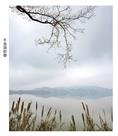 千岛湖初春