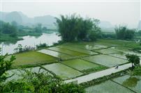 桃园风景美如画(组照)