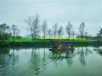 春来江水绿如蓝