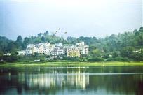 网鱼鹭旋话和美