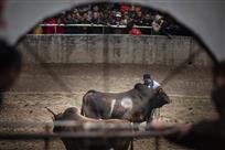 《赛前的叮嘱》