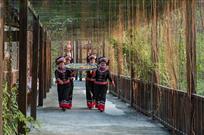 老家美食上林鱼王（组照）