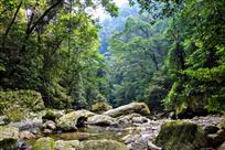 幽静的峡谷