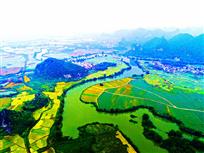 七彩田园舞银蛇