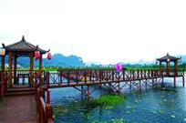 云里莲海醉人间