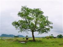 都市看不到的风光