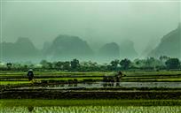 《春耕忙五谷香》