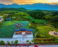 上林禾田农耕文化园景色