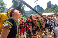 醉饮瑶家迎客酒(组图)