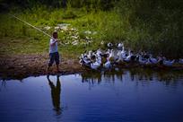 生态养鸭致富路