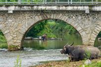 《小河流过家门口》
