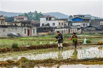《夫妻同种幸福田》