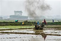 《忙春》（组照）