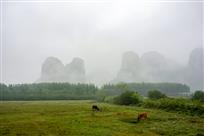 《毛塘湿地》（组照）