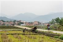 《美德》（组照）