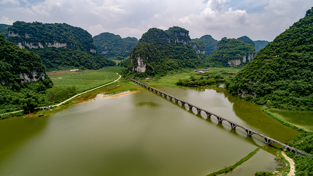 作品名称: 《东红湿地美景》  作品描述:   拍摄地点: 上林县东红湿地