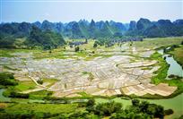 《壮乡春意浓》