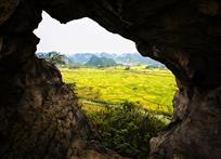 《窗外秋正浓》