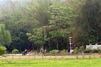 传统与现代的耕作际会