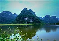 峻山秀水东红湿地