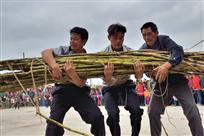 蔗场角逐（组照）