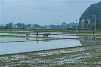 《传统农耕代代传》