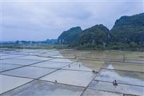 《方块满盈丰收望》