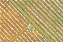 《破膜而出成画卷》