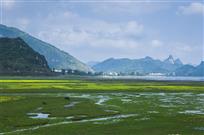 《水丰草嫩好牧场》