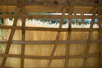 美食养生旱藕粉