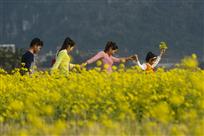 携手游花海