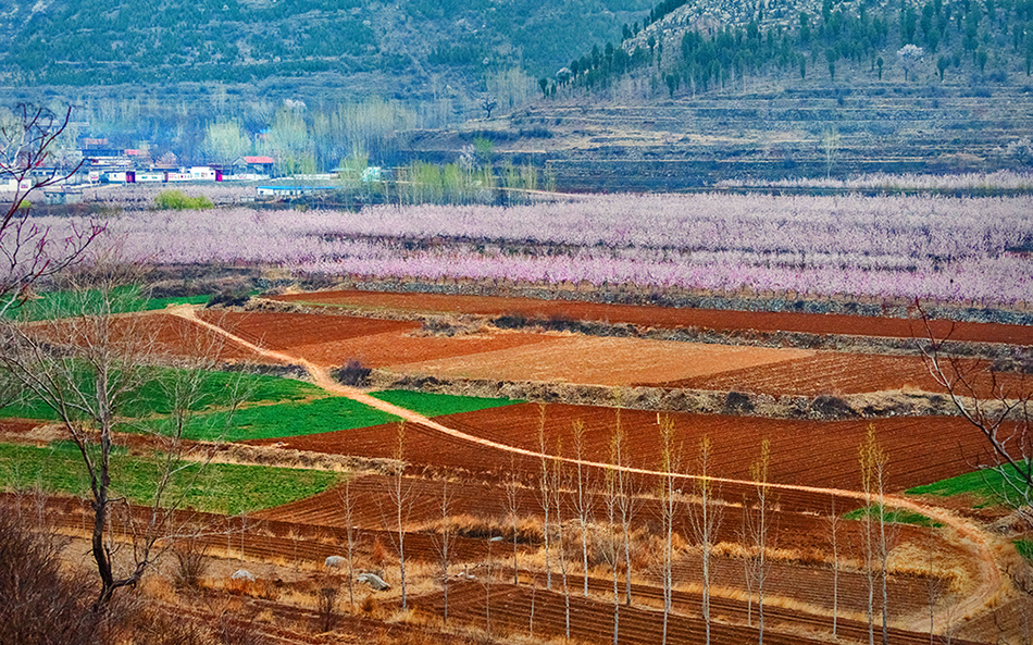 春天的山沃村美得像一幅图画  拍摄地点: 山东省邹城市大束镇山沃村