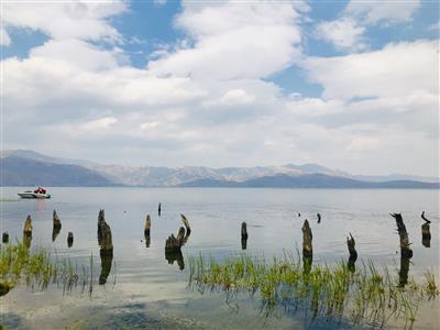 闻洱海