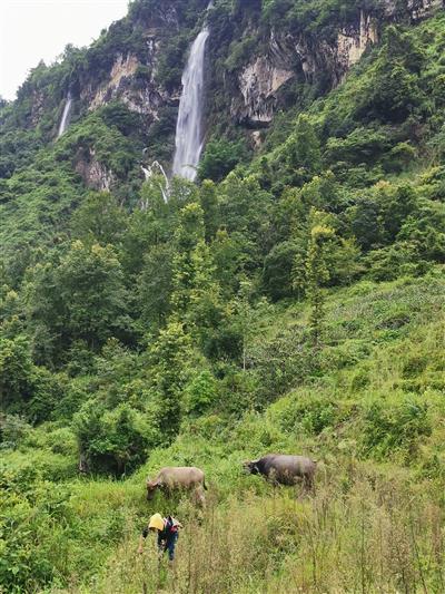 绿水青山