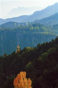 轿顶山风光