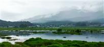 山色空蒙雨亦奇