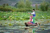 出水芙蓉引客来