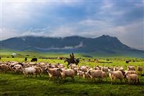 草原牧羊人